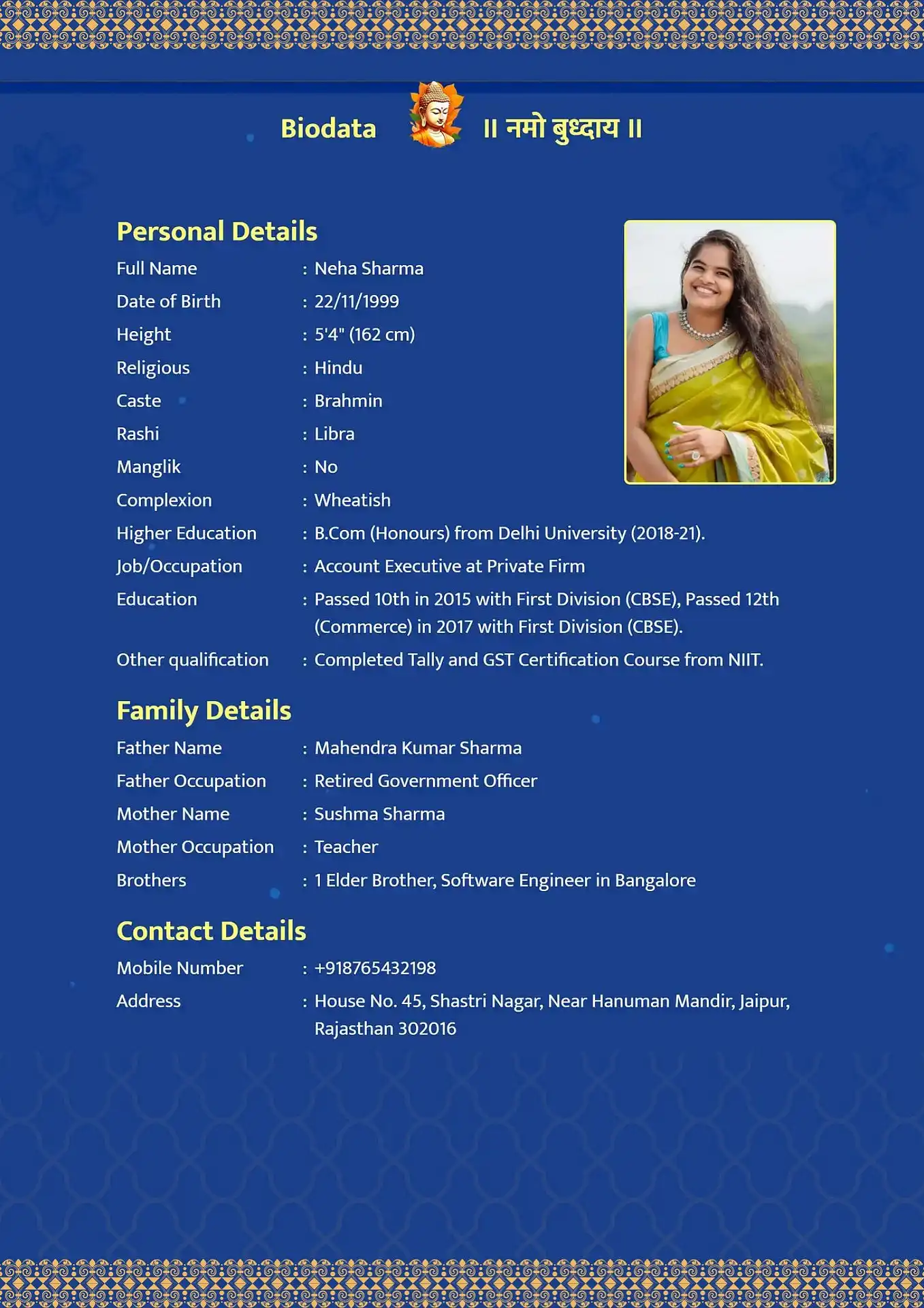 Blue Velvet biodata template